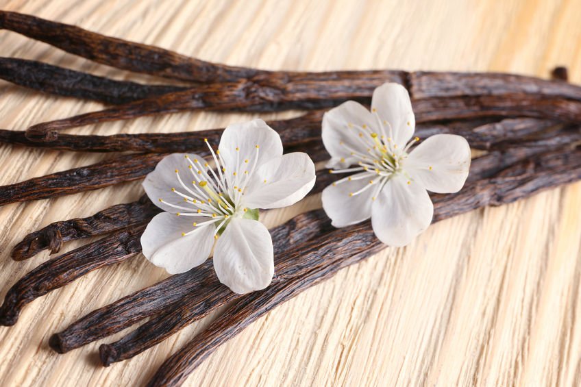 8 Surprising Health Benefits of Vanilla - Salt of the Earth Natural Deodorants