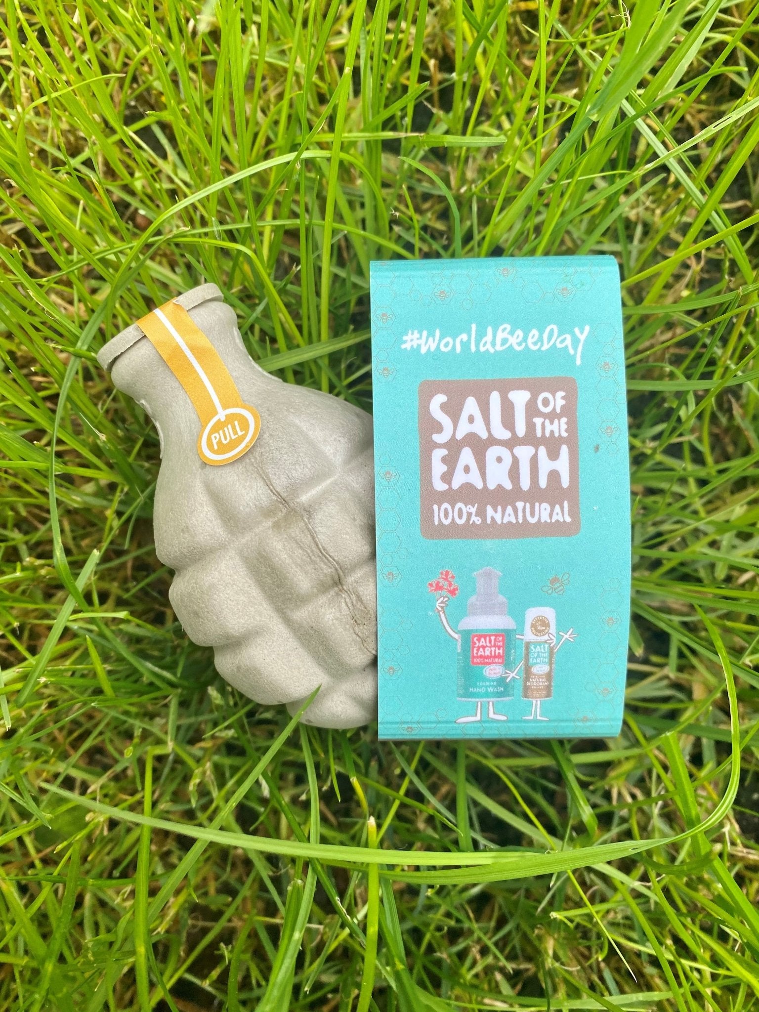 Celebrating World Bee Day with Salt of the Earth - Salt of the Earth Natural Deodorants